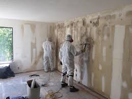 Why You Should Choose Our Mold Remediation Services in Barrington, IL